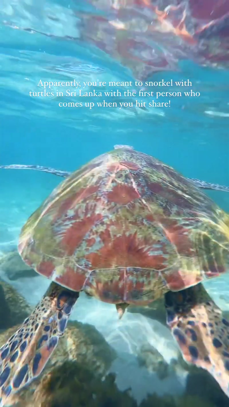 Travel photo of Weligama, Sri Lanka showing scenic views and attractions