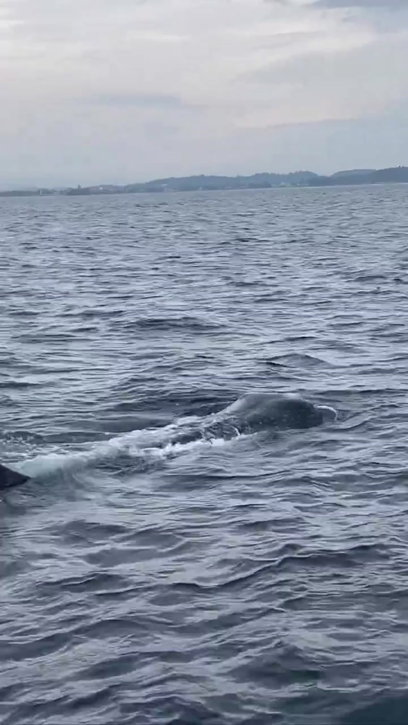 Travel photo of Mirissa, Southern Coast, Sri Lanka showing scenic views and attractions