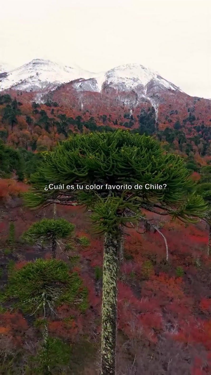 Travel photo of Chile Adventure showing scenic views and attractions