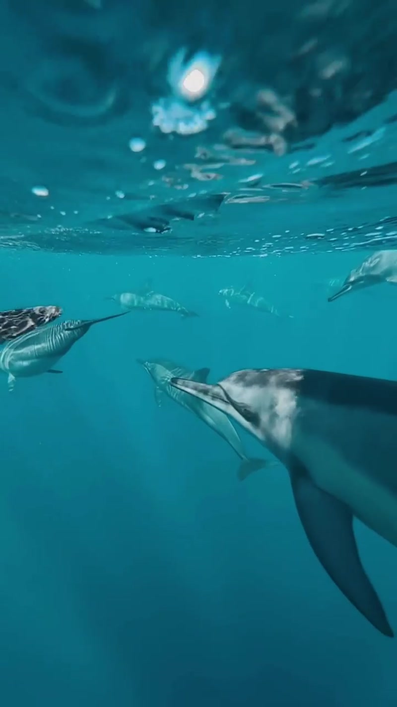 Travel photo of Mirissa, Sri Lanka showing scenic views and attractions