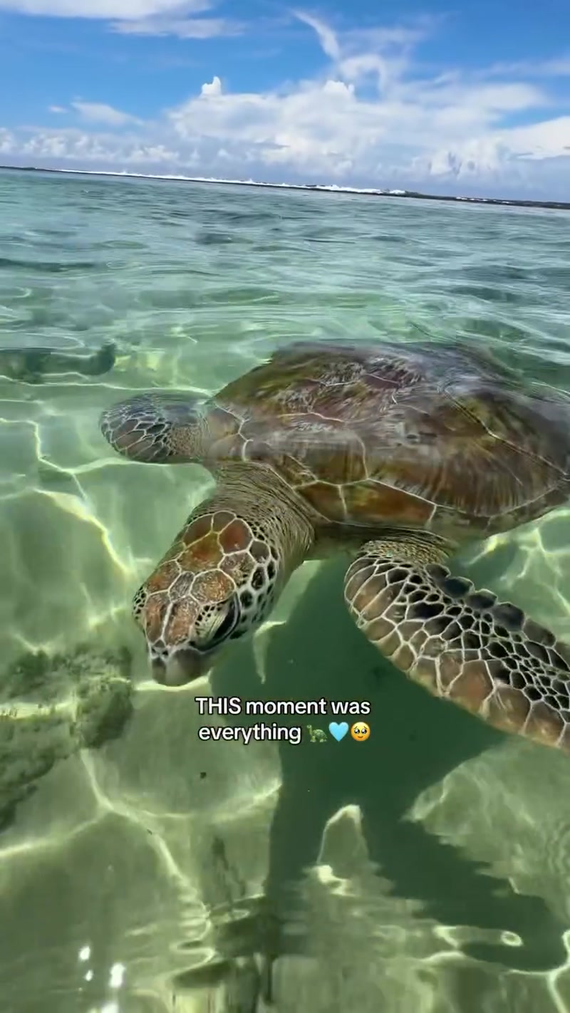 Travel photo of Coastal Beach Area, Sri Lanka showing scenic views and attractions