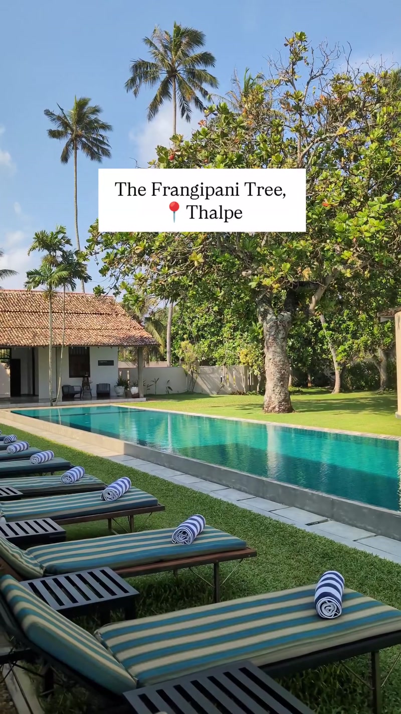 Travel photo of Sri Lanka showing scenic views and attractions