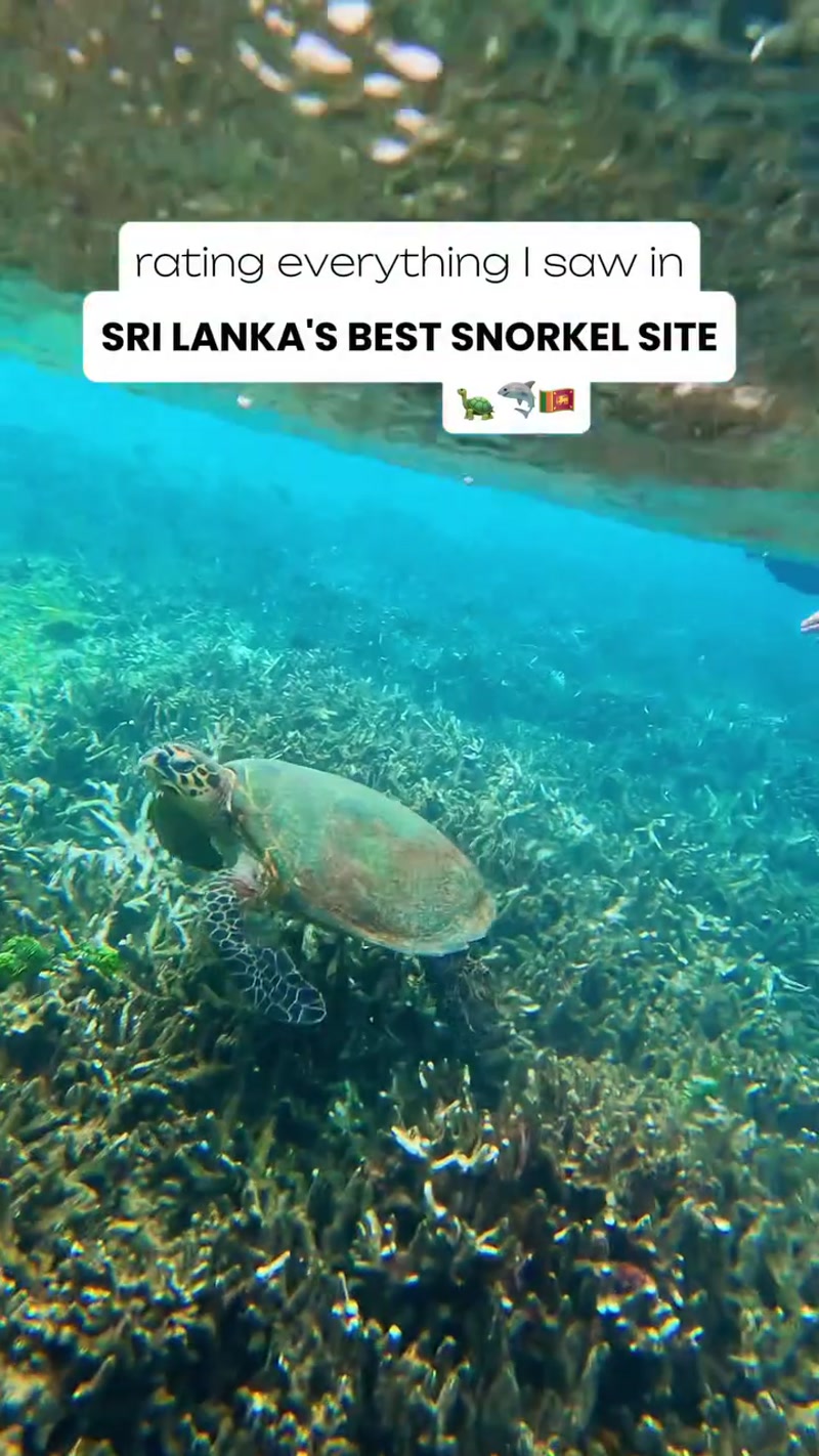 Travel photo of Pigeon Island, Nilaveli Beach, Sri Lanka showing scenic views and attractions