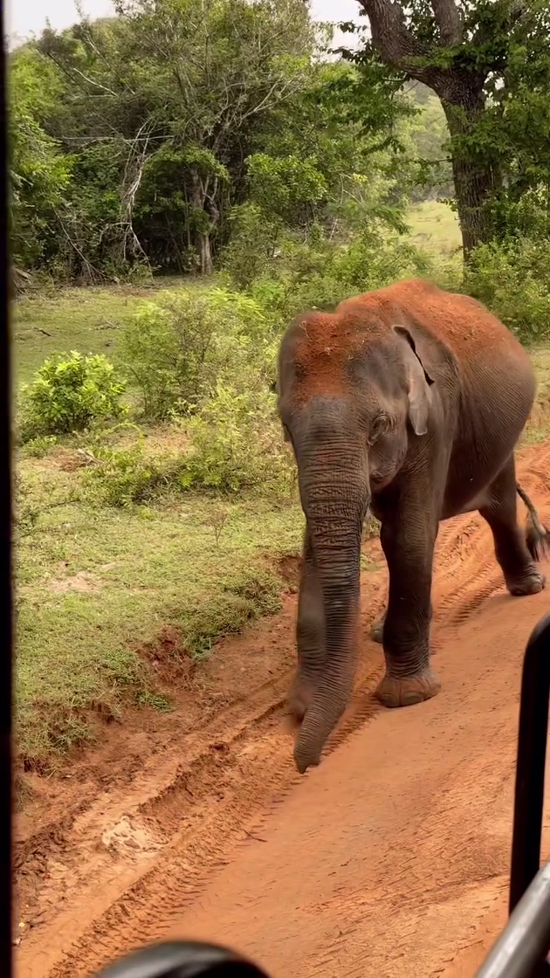 Travel photo of Yala National Park, Sri Lanka showing scenic views and attractions