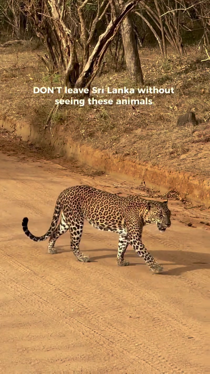 Travel photo of Sri Lanka Wildlife Adventure showing scenic views and attractions