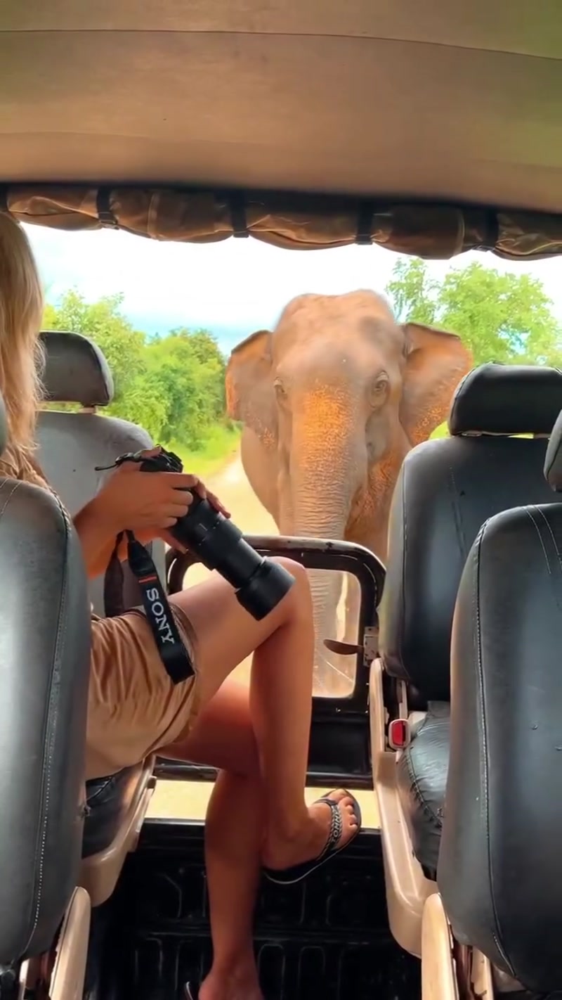 Travel photo of Sri Lanka showing scenic views and attractions