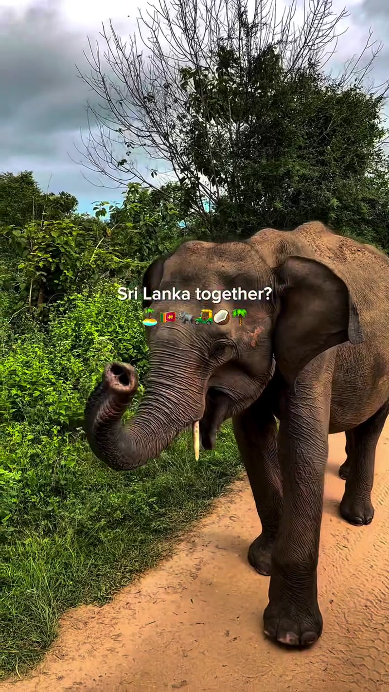 Travel photo of Sri Lanka showing scenic views and attractions