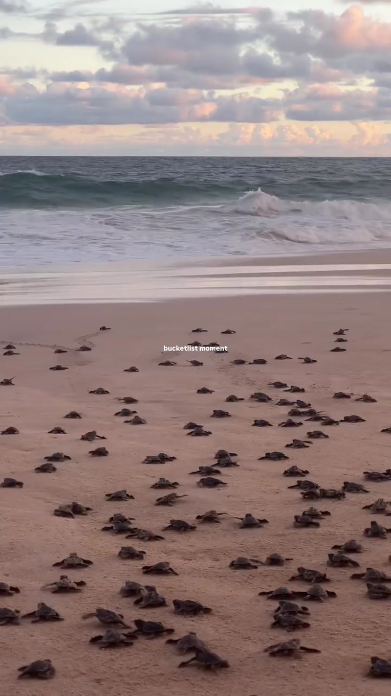 Travel photo of Koggala Beach, Sri Lanka showing scenic views and attractions